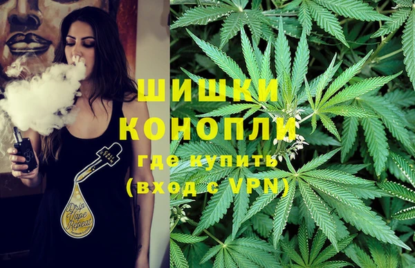 мяу мяу мука Баксан