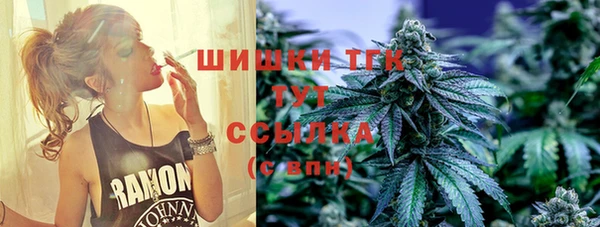 мяу мяу мука Баксан